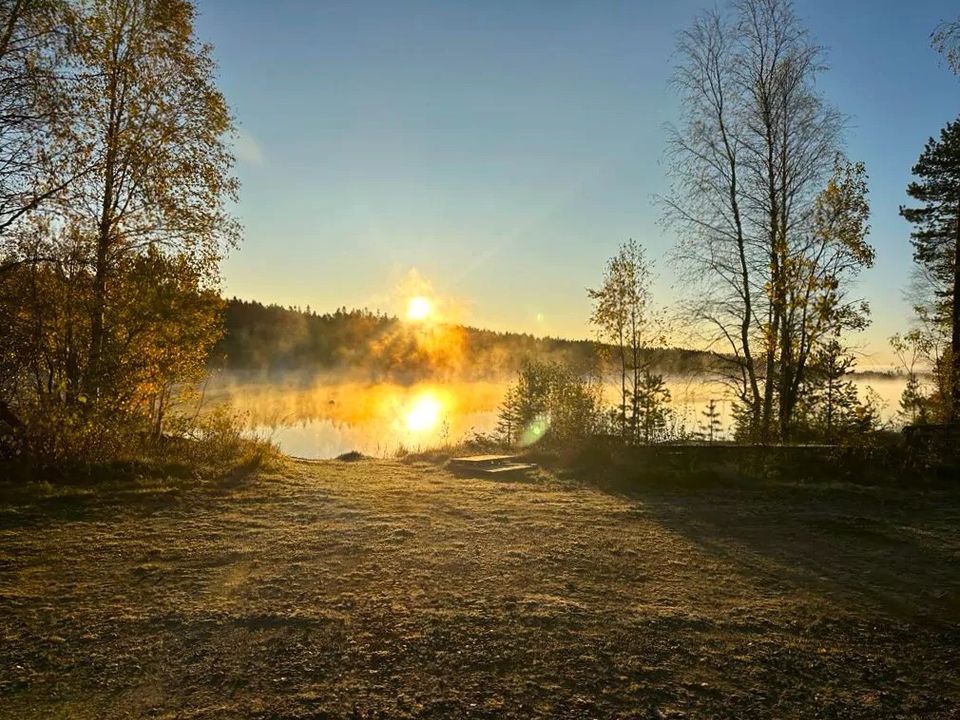 22.6.-1.7.24 Urlaub in der Hütte mitten in der Natur in Schweden in Maikammer