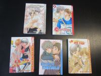 Manga Einzelband Boys Love TokyoPop Hinako Takanaga Carlsen Manga Niedersachsen - Drochtersen Vorschau