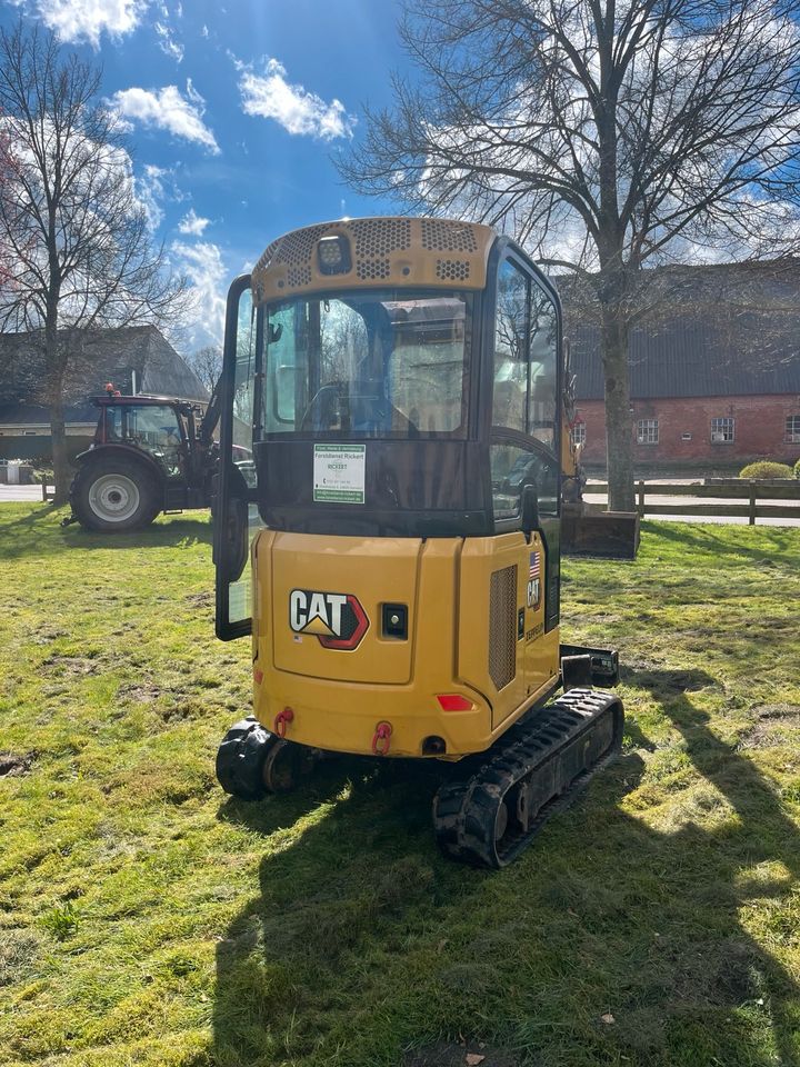 Minibagger Powertilt Klima 1,8 2t Cat 301.8 vermieten mieten in Hamdorf