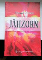 Jähzorn. Theodor Itten. Gebundenes Buch. Psychologie Friedrichshain-Kreuzberg - Kreuzberg Vorschau