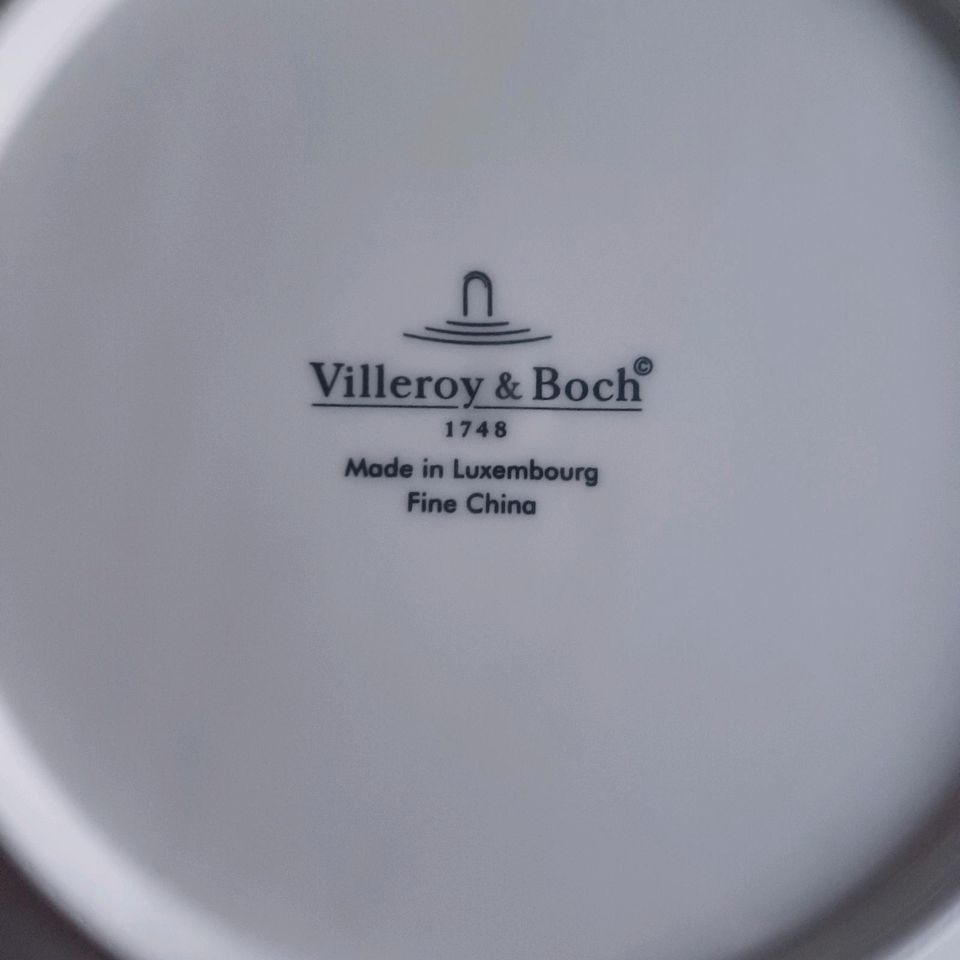 6x Pasta Teller neu Villeroy&Boch in Schwedt (Oder)