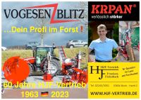 ⚠️ AMR Vogesenblitz® profiLine 17 Tonnen (stehend) Holz - Spalter Nordrhein-Westfalen - Much Vorschau