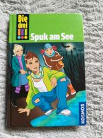 Buch "Die drei !!! - Spuk am See" vom Verlag Kosmos Sachsen-Anhalt - Burg Vorschau