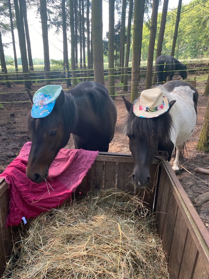 Kindergeburtstag, einen Tag als Tierpfleger in Buchholz in der Nordheide