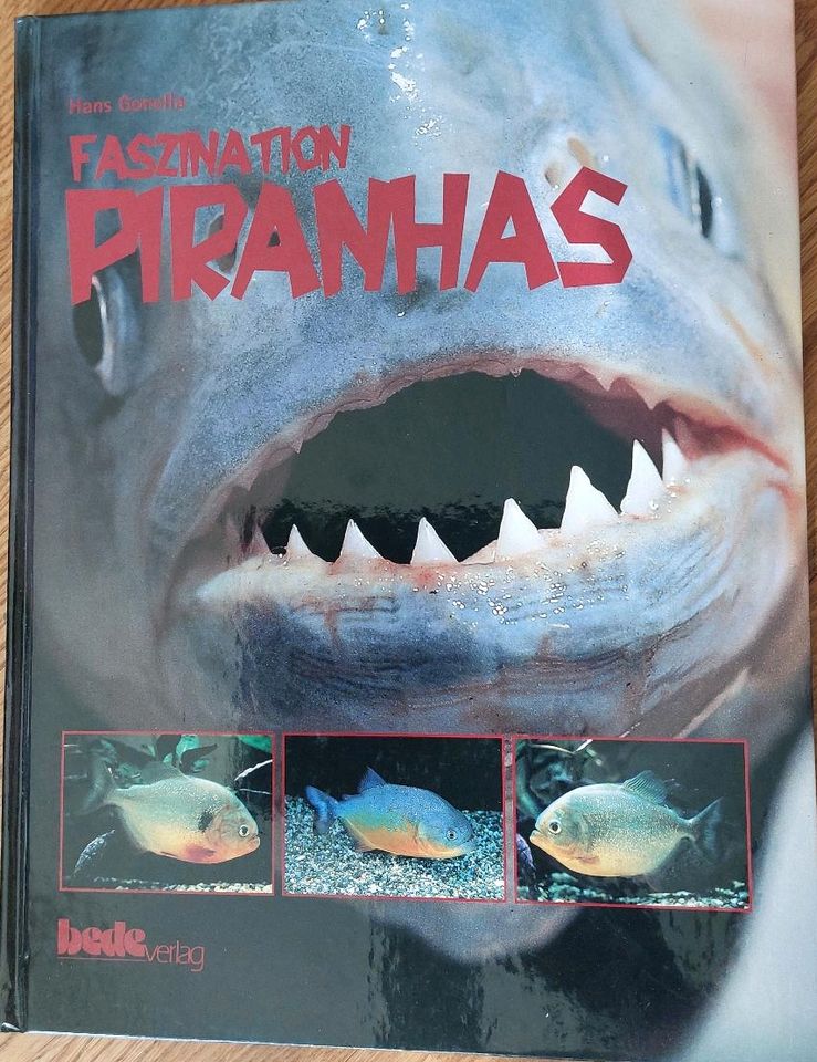 Buch "Faszination Piranhas" in Wollin bei Brandenburg an der Havel