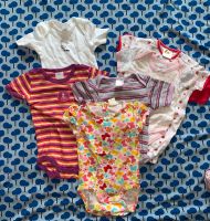 Baby Mädchen Bodys Unterwäsche aus erster Hand 62 68 Nordrhein-Westfalen - Lünen Vorschau