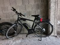 E-Bike Pegasus Solero E8F Plus Rheinland-Pfalz - Bad Kreuznach Vorschau