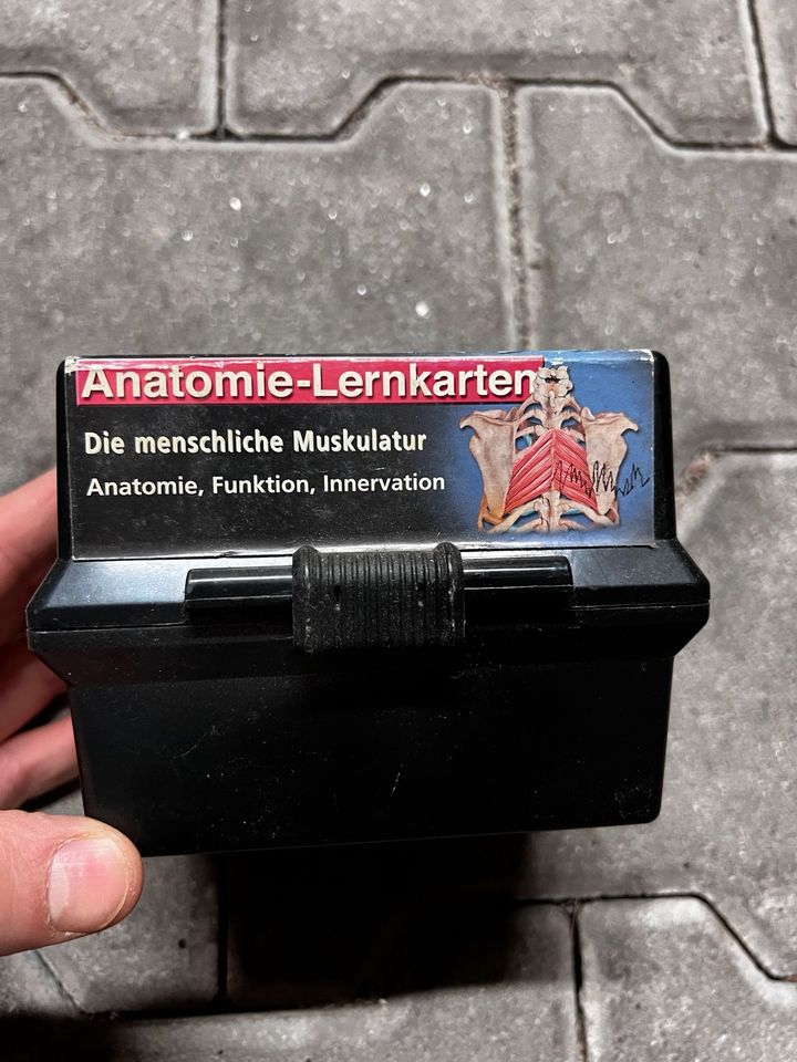 Anatomie Lernkarten Doppel-Set (Muskulatur/Skelett) in Dresden