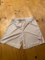 Herren Vintage Puma Sporthose Shorts gr. M neuwertig Bayern - Schwabmünchen Vorschau