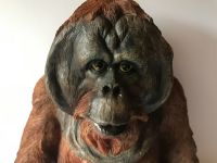 Exklusive Dekofigur Orang-Utan aus Polyresin Niedersachsen - Stuhr Vorschau
