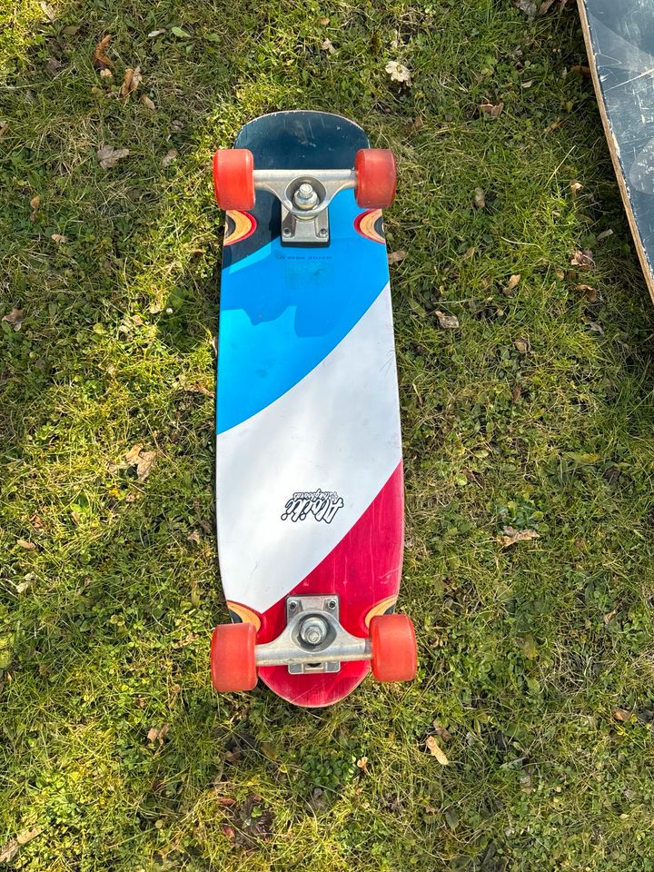 Longboard , Skateboard (Santa Cruz), Alpine Board in München