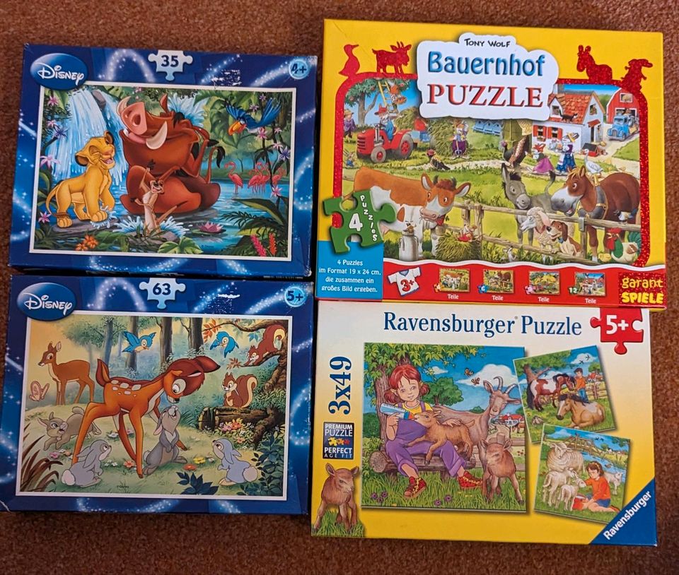 Kinderpuzzle in Steina