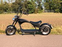 Mangosteen Elektro Chopper M1P Roller 50ccm Sachsen-Anhalt - Braschwitz Vorschau