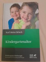 K.H.Brisch Buch Kindergartenakter Bindungspsychotherapie Bayern - Erlangen Vorschau