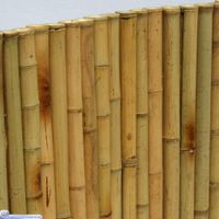 43-47mm 100x200cm goldgelb Bambusrollzaun Rollzaun Bamboo Hude (Oldenburg) - Nordenholz Vorschau