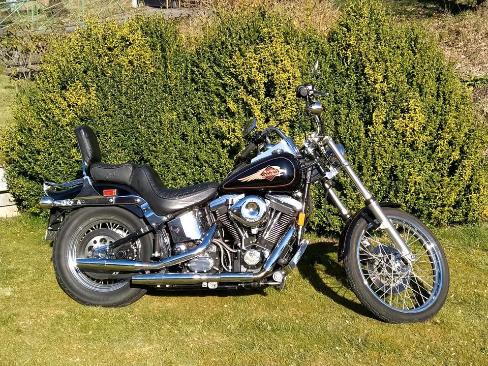 Harley Davidson Softail Custom FXST-C in Altenbeken