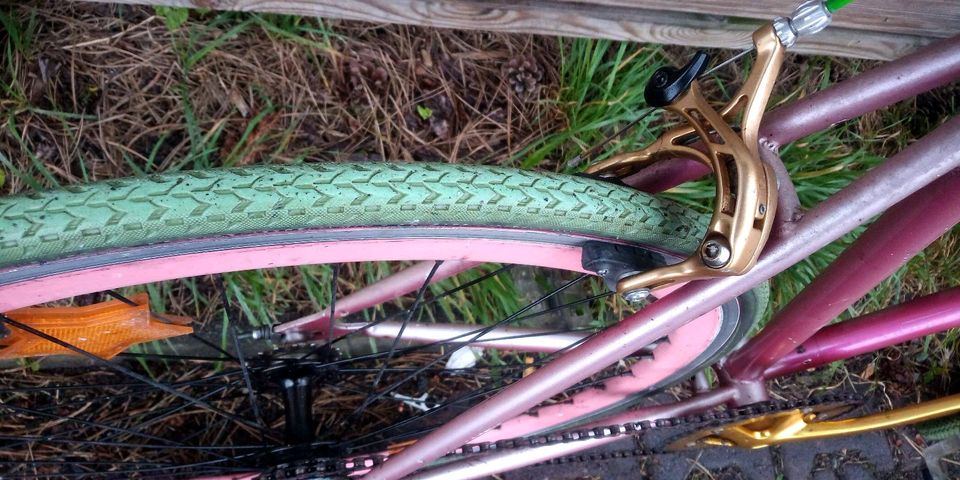 Schönes Fixie Bike pink Gold grün in Offenbach