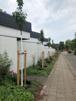 1-Zimmer Wohnung mit EBK in Visselhövede zu vermieten Niedersachsen - Visselhövede Vorschau