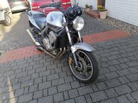 Honda CBF 600 Nordrhein-Westfalen - Bünde Vorschau