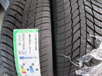 Nexen Nblu 4Seasons 235/55 R17 103V SUV Allwetterreifen Ford Kuga Rheinland-Pfalz - Ockenheim Vorschau