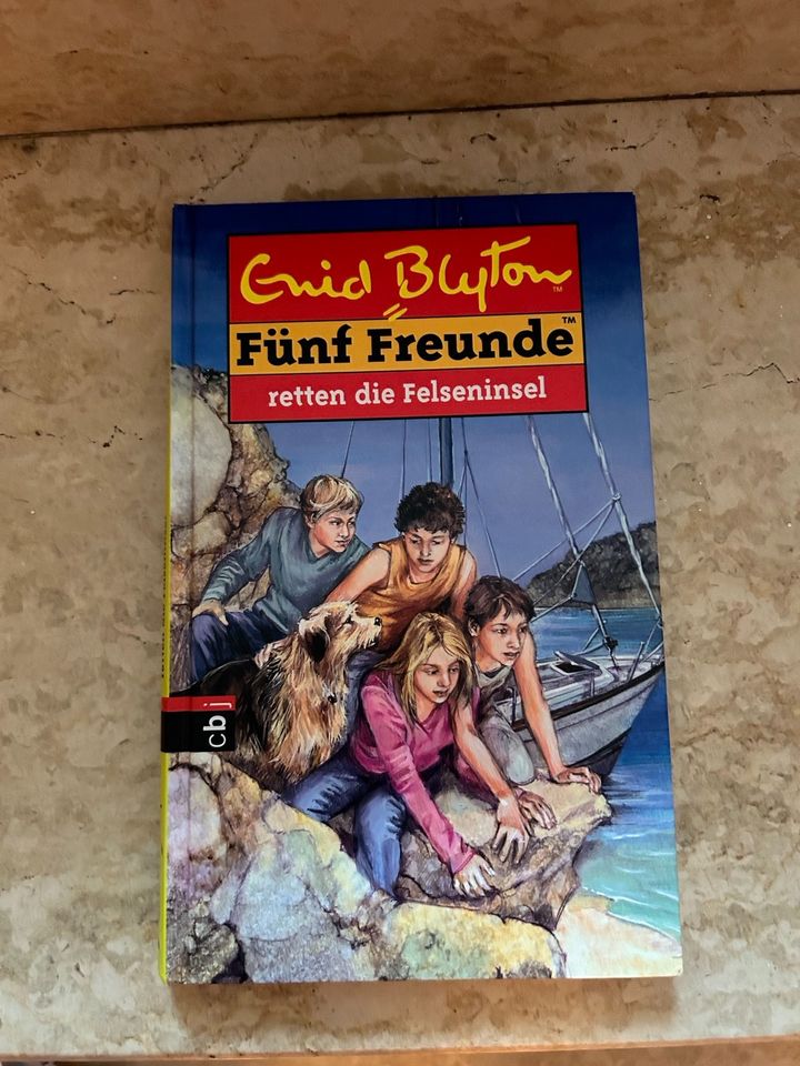 Buch „Fünf Freunde retten die Felseninsel“ in Renchen