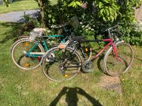 2 Fahrräder an Bastler zu verkaufen Nordrhein-Westfalen - Gelsenkirchen Vorschau