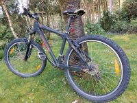 Street Dirt Bike v.Genesis, Crossrad Fahrrad, Rahmen: H=43cm/23" Niedersachsen - Wenzendorf Vorschau