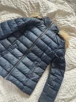 Tommy Hilfiger Daunenjacke Niedersachsen - Winsen (Aller) Vorschau