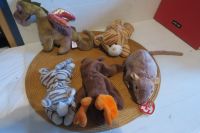 Ty, Beanie Babies Collection, gebraucht, 5 Stück, von 1995-2000 Köln - Porz Vorschau