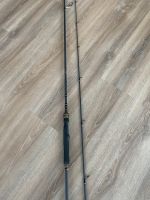 Abu Garcia mass beat II 9‘0  8-28g Spin Rute Nordrhein-Westfalen - Medebach Vorschau