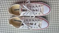 Converse All Star Chucks - weiß, flach Größe 39 Essen - Essen-Stadtmitte Vorschau