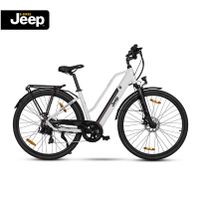 Jeep Trekking E-Bike TLR 7011 mieten ab 25,-€ / Tag Baden-Württemberg - Bühl Vorschau