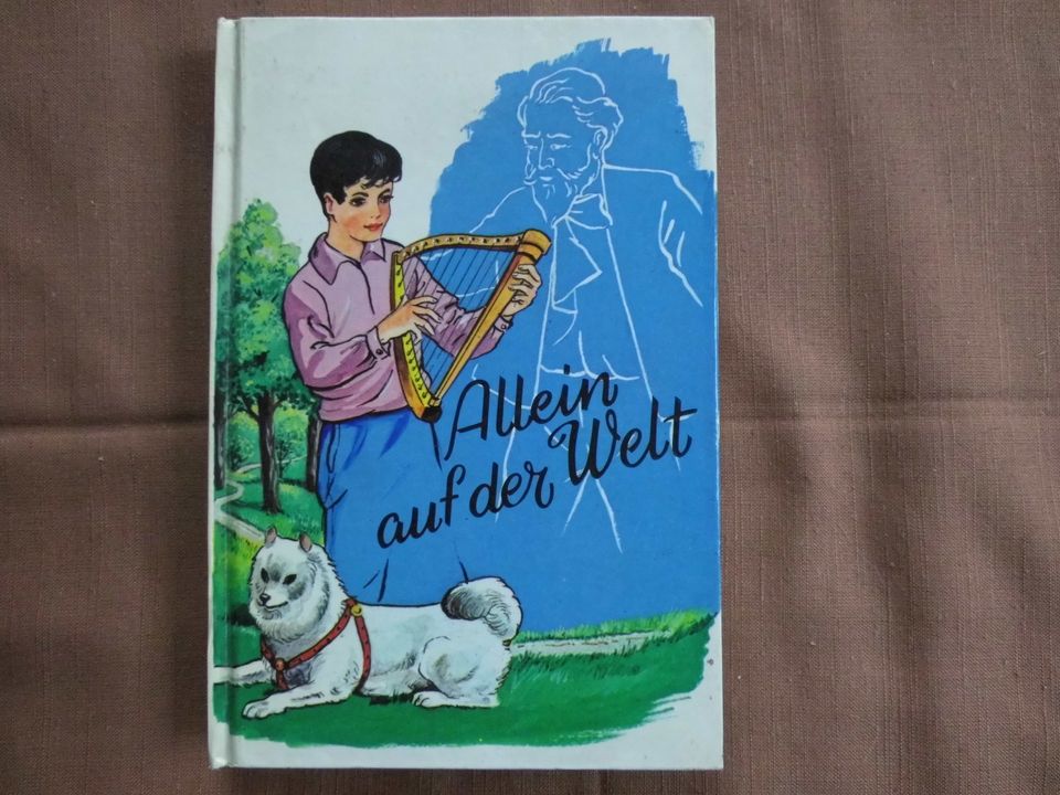 „Allein auf der Welt“ Seltenes Kinderbuch (1968) in Rödlin