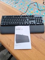 LIONCAST LK100 RGB Gaming Tastatur Baden-Württemberg - Nagold Vorschau