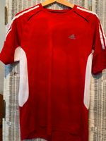 Adidas FC Bayern Trikot Shorts T-Shirt Hose Rot Fußball 176 Nordrhein-Westfalen - Ratingen Vorschau