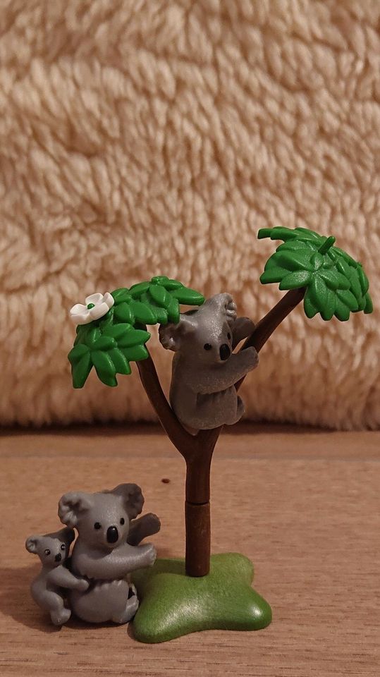 Koalas mit Baby und Baum von playmobil® in Ahrensburg