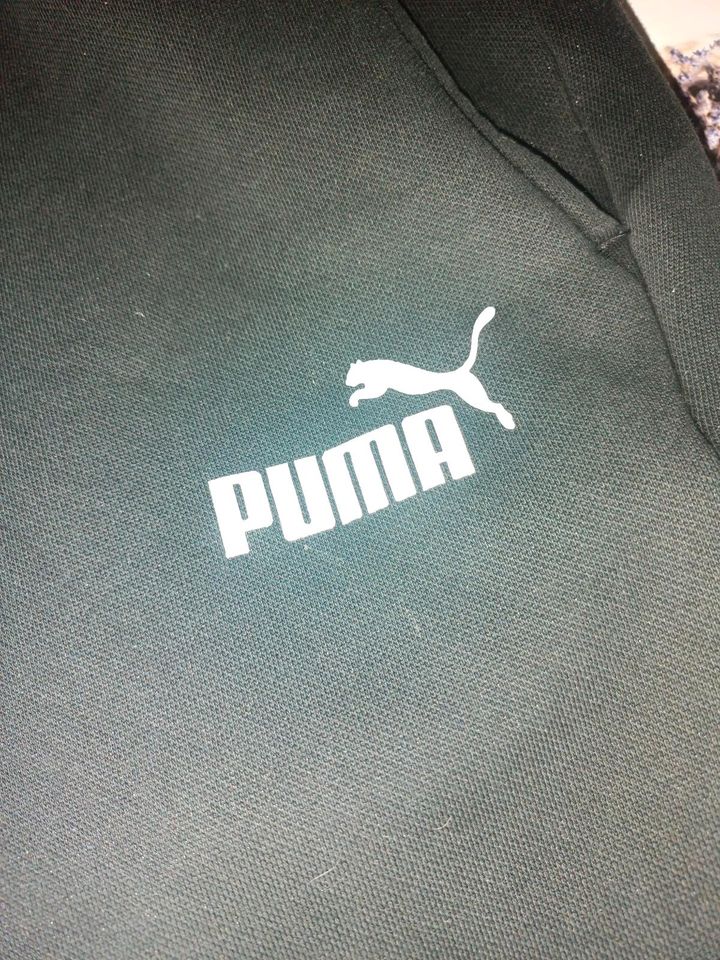 PUMA Jogginghose, Sporthose Größe L in Vilseck