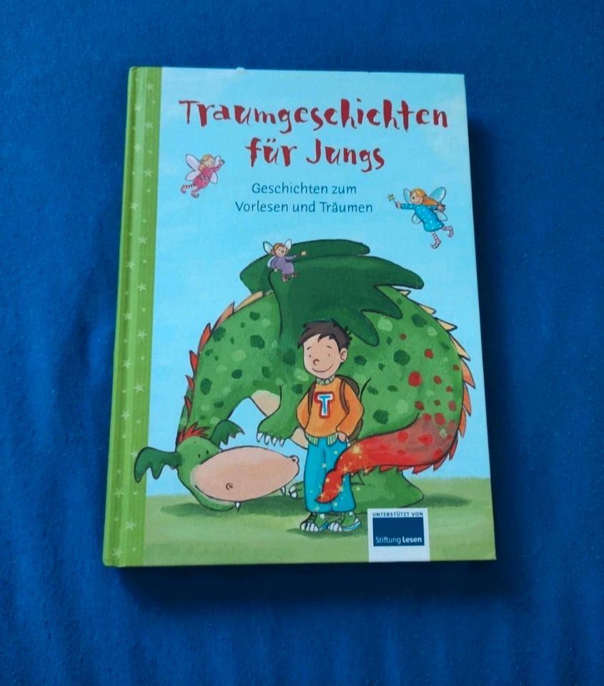 Buch - Traumgeschichten für Jungs in Kelberg