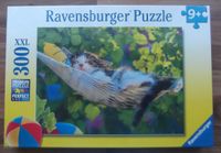 Ravensburger Puzzle 300 XXL Teile, Kätzchen Sachsen - Heidenau Vorschau