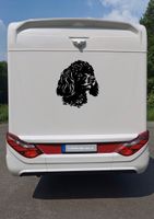 Wohnmobil Wohnwagen Anhänger PKW Boot Aufkleber Hundeaufkleber Nordrhein-Westfalen - Beckum Vorschau