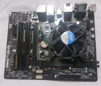 Bundle: Mainboard Gigabyte GA-H81M-HD3 mit i3-4150 und CPU-Fan Thüringen - Zella-Mehlis Vorschau