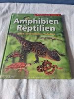 Amphibien und Reptilien ~ Erlebniswelt Wissen ~ für Kinder Sachsen-Anhalt - Bitterfeld Vorschau
