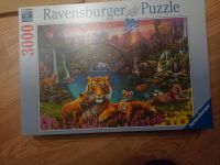 Tiger Puzzel 3000 Sachsen - Bahretal Vorschau