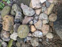 Steine  verschiedene Größen Dithmarschen - Brunsbuettel Vorschau