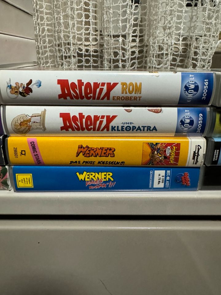 VHS Kassetten, Filme, Disney, Werner, Titanic, Harry Potter, usw. in Landau in der Pfalz