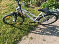 Fahrrad Pegasus avanti Shimano 7 Gang Nordrhein-Westfalen - Olsberg Vorschau