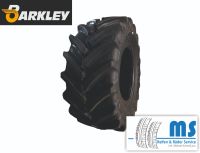 BARKLEY 540/65R30 BLA03 150D/153A8 TL Bayern - Altomünster Vorschau