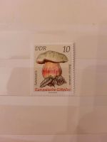 Sammler Briefmarke DDR Satanspilz Berlin - Charlottenburg Vorschau
