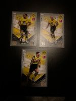 Borussia Dortmund Match Attax Karten unterschrieben Niedersachsen - Groß Twülpstedt Vorschau