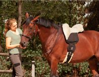 Barefoot Ride-on-Pad*Reitkissen*Bareback*viele Modelle-NEU Niedersachsen - Harpstedt Vorschau